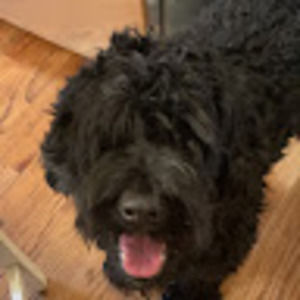 Meet your Posher, Kai